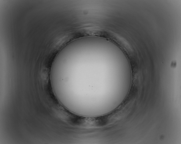 X0000100480121200806201639
