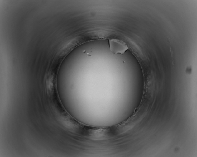 X0000100480122200806201639