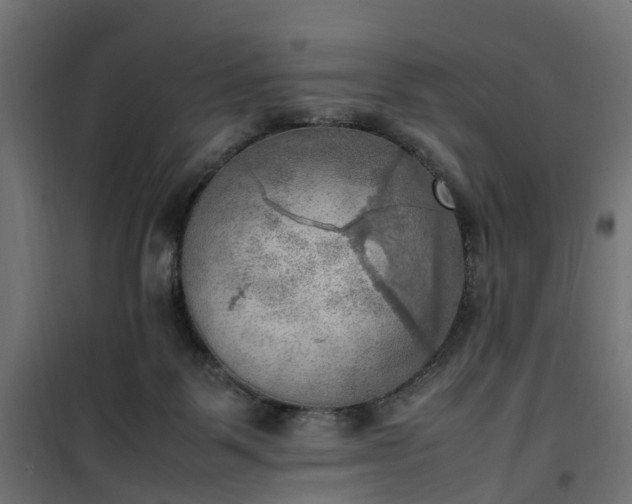 X0000100480123200806201639