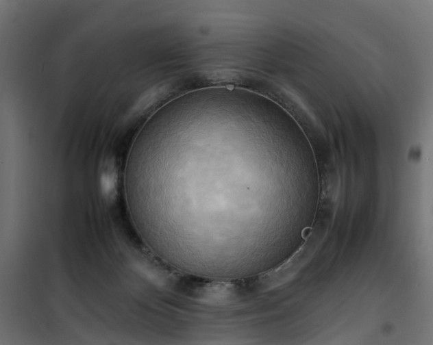 X0000100480124200806201639