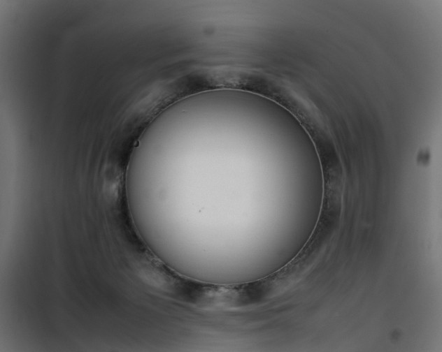 X0000100480125200806201639