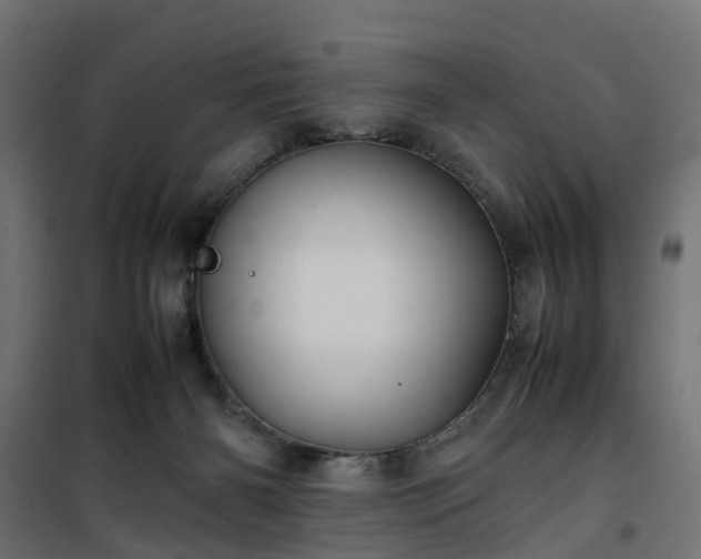 X0000100480126200806201639