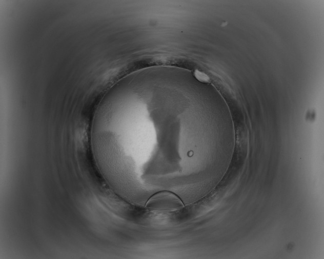 X0000100480127200806201639