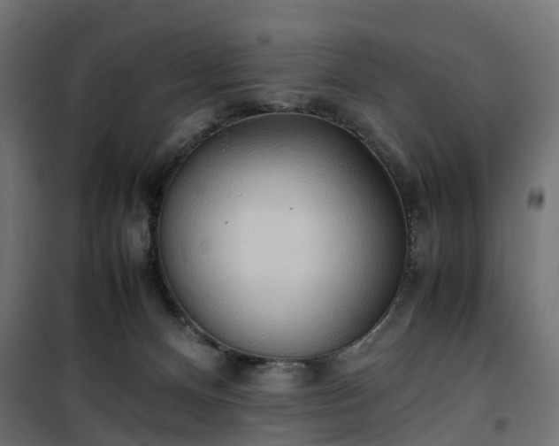 X0000100480128200806201639