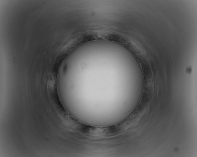 X0000100480129200806201639