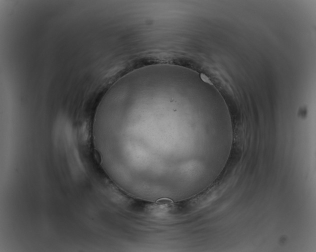 X0000100480131200806201639