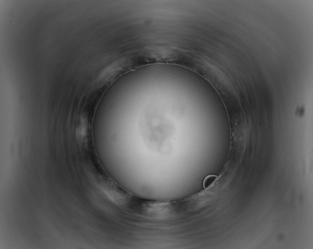 X0000100480132200806201639