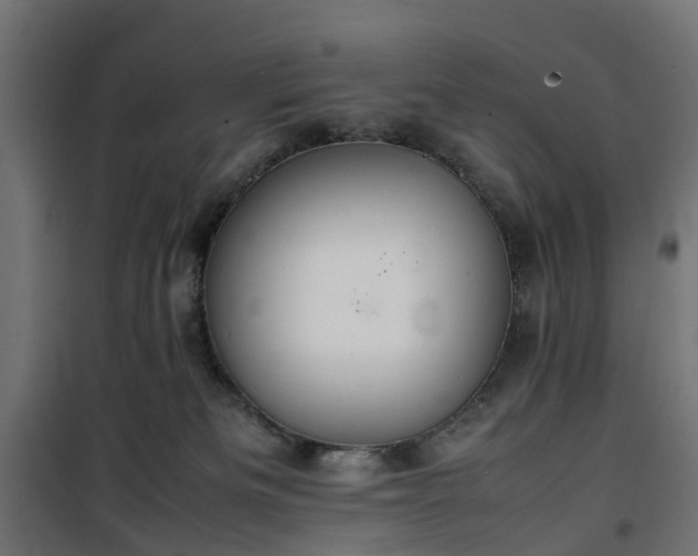 X0000100480133200806201639