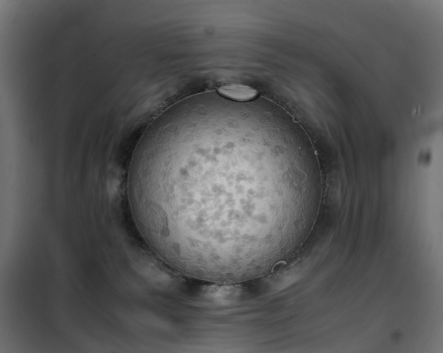 X0000100480135200806201639
