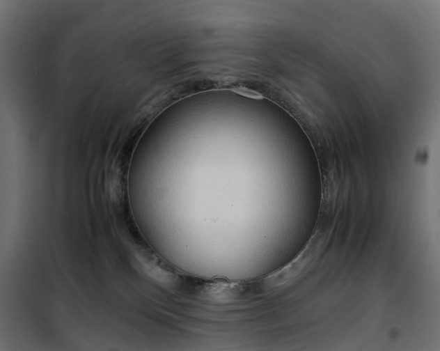 X0000100480136200806201639