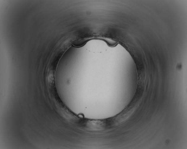 X0000100480137200806201639