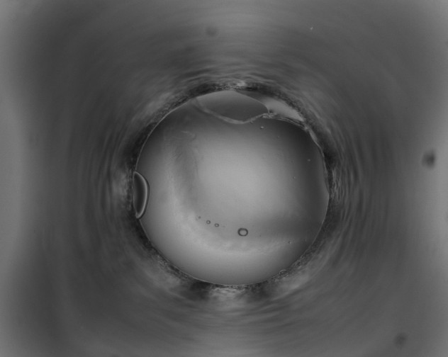 X0000100480139200806201638