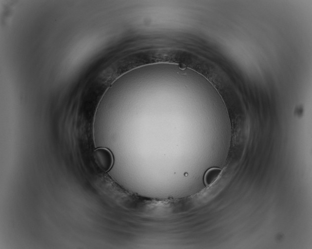 X0000100480140200806201638