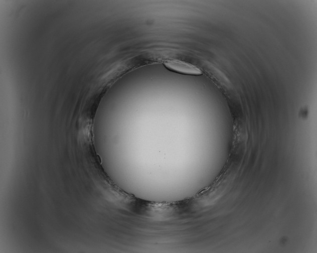 X0000100480141200806201638