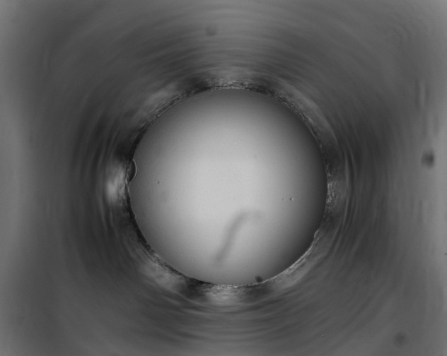 X0000100480142200806201638