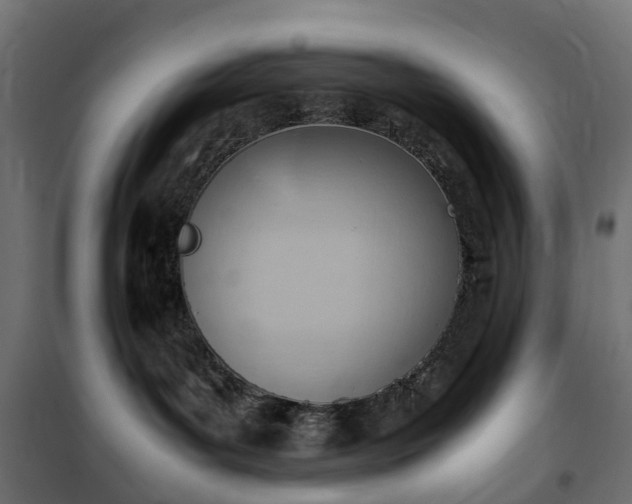 X0000100480143200806201638
