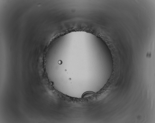 X0000100480144200806201638