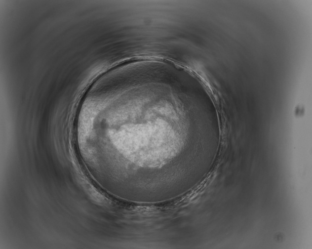 X0000100480145200806201638