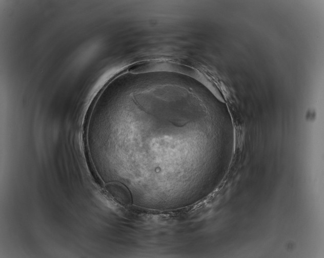 X0000100480147200806201638