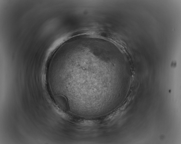X0000100480149200806201638