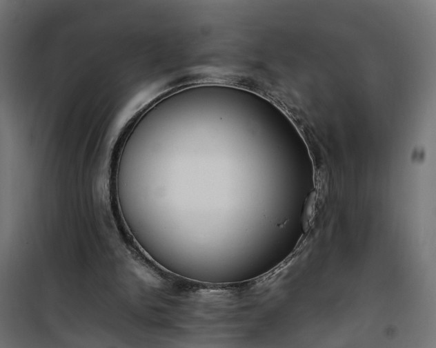 X0000100480150200806201638