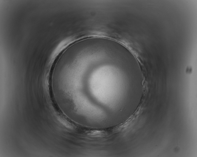 X0000100480151200806201638