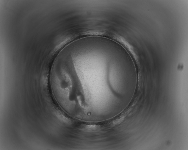 X0000100480153200806201638