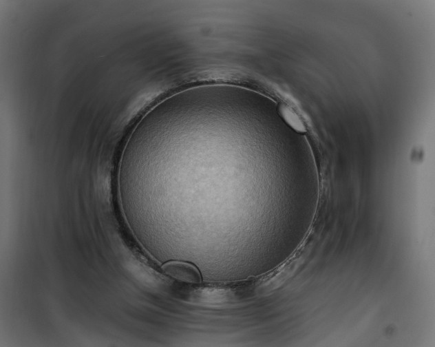 X0000100480154200806201638