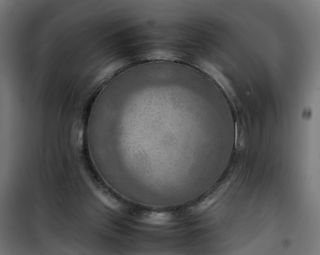 X0000100480157200806201638