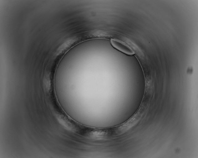 X0000100480158200806201638