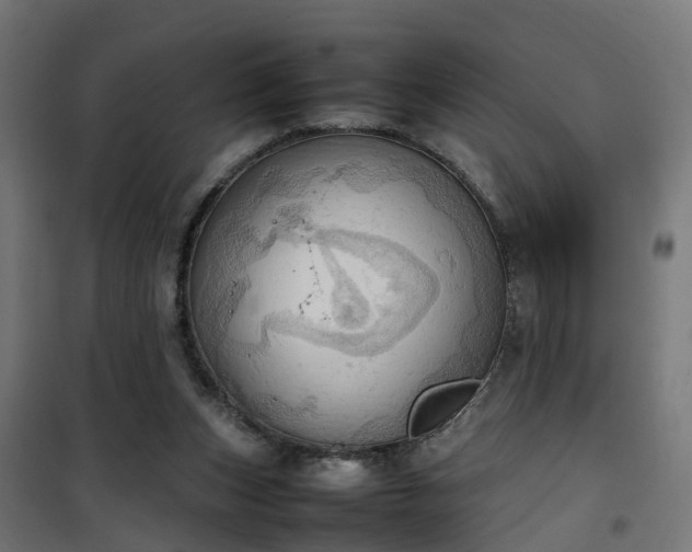 X0000100480159200806201638