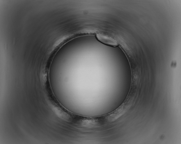X0000100480160200806201638