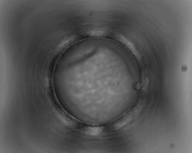 X0000100480161200806201638