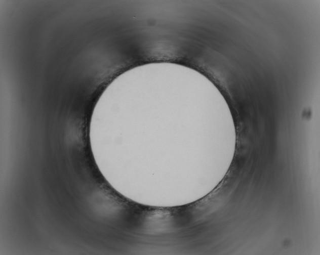 X0000100480162200806201638