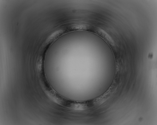 X0000100480163200806201638