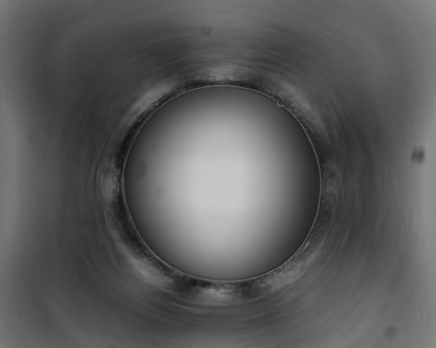 X0000100480164200806201638