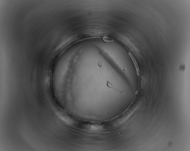 X0000100480165200806201638