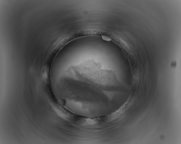X0000100480166200806201638