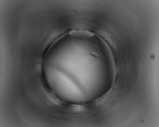 X0000100480167200806201638