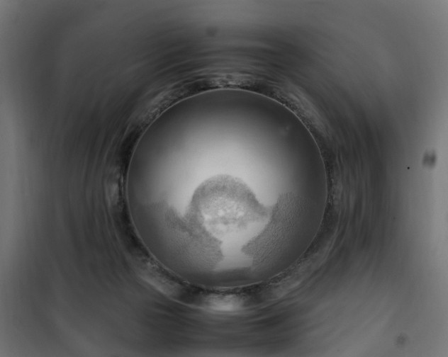 X0000100480169200806201638