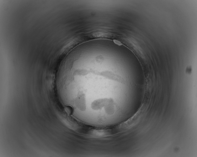 X0000100480171200806201638