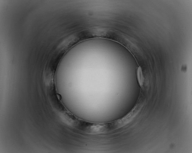 X0000100480172200806201638