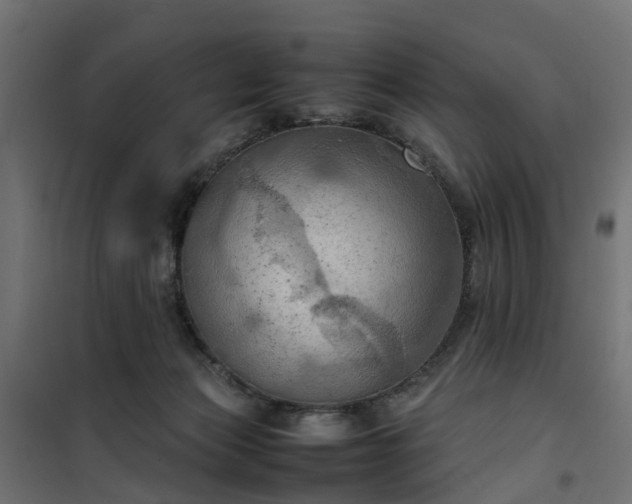 X0000100480173200806201638