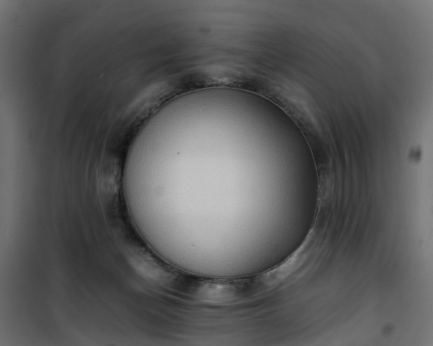 X0000100480174200806201638