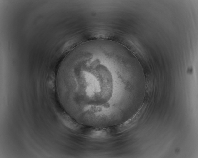 X0000100480175200806201638