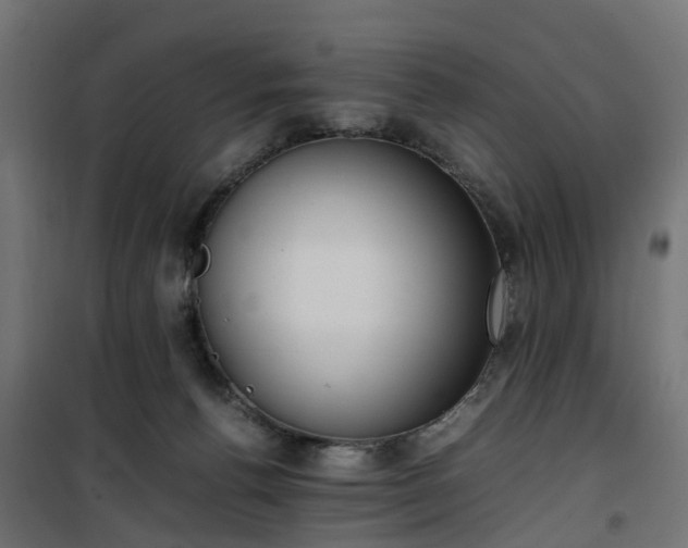 X0000100480176200806201638