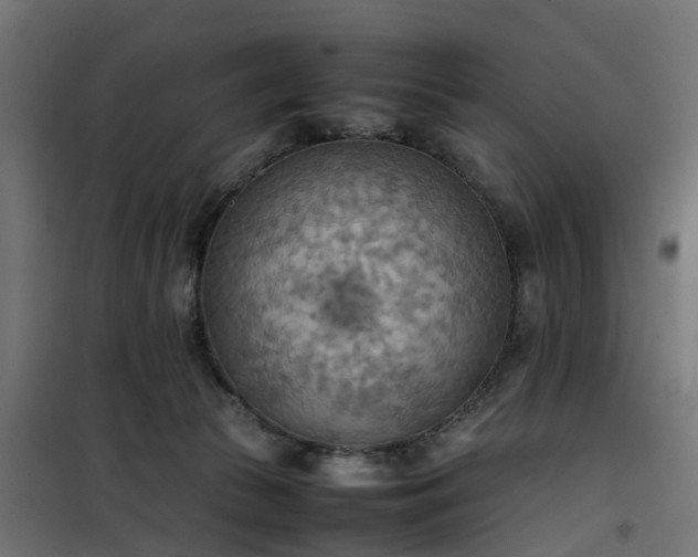 X0000100480177200806201638