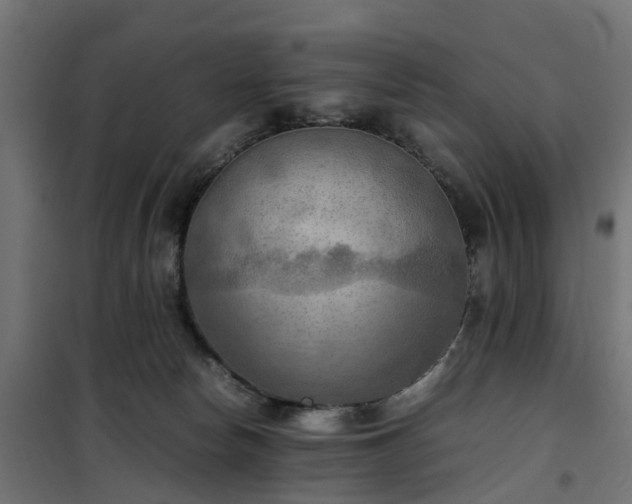 X0000100480178200806201638