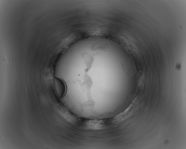 X0000100480179200806201638