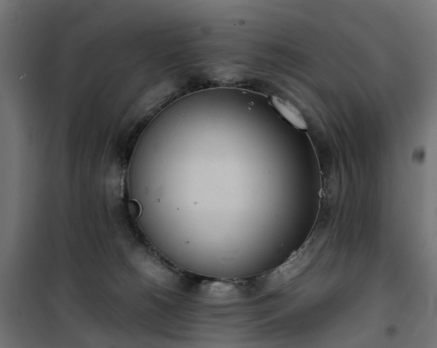 X0000100480180200806201638